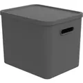 Rotho Multibox Albula für C4 Anthrazit 27,