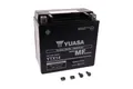 YTX14 (WC)