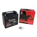 Yuasa Batteria YTX14 12V 10Ah CCA200 Precaricata Sigillata