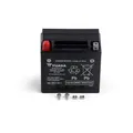 YUASA Wartungsfreie AGM-Batterie BATTERY FA YTX14