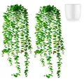 PASCH® 2er Set Künstlicher Eukalyptus (60cm) in weißen Keramiktöpfen: Künstliche Hängepflanzen | künstliche Pflanzen wie echt | Kunstpflanzen hängend | Kunstpflanze hängend im Topf