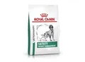 ROYAL CANIN Veterinary Satiety Weight Management 6 kg