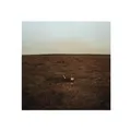 Fink The City Is Coming to Erase It All (Vinyl) 12" Album (US IMPORT)
