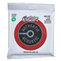 MA-170T Authentic Acoustic Set
