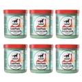 Leovet Cold Pack 6l (6x 1000 ml) Apothekers Pferdesalbe Spar-Pack - 22,13 €/l