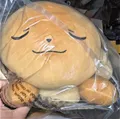 Pokemon EVOLI schlafend Plüschfigur ca. 50 cm Manga Neu,OVP,Lizenz-Rarität
