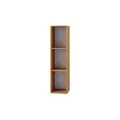 Regal   ¦ holzfarben ¦ Maße (cm): B: 34 H: 107 T: 29.0