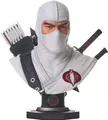 G.I. Joe Legends in 3D Büste 1/2 Storm Shadow 25 cm Statue