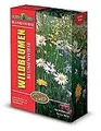 Greenfield Rasensaat mit Gräsern | 10kg Wildblumenwiese