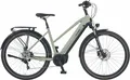 E-Bike "Entdecker 4.0", 10 Gang, microSHIFT, RD-M61S, Mittelmotor 250 W, Pedelec, Elektrofahrrad für Damen Grau/ Schwarz 28 Zoll (71,12 cm) 50 cm - 28 Zoll (71,12 cm)