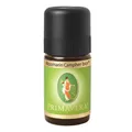 Rosmarin Campher bio 5ml | PRIMAVERA