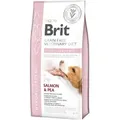 Brit GF Tiernahrung Hund Hypoallergen 2 kg