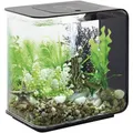Oase 72029 biOrb FLOW 15 LED schwarz Aquarium 15 l mit LED-Beleuchtung