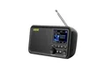 Leicke Tragbares DAB+ Radio DAB+ und UKW Radio, Küchenradio, 2,4" Farbdisplay Radio (5 W, 80 Voreinstellungen, MicroSD/TF/AUX Anschluss, Alarmfunktionen)