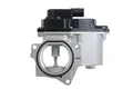 AGR VENTIL VALEO 700424 FÜR AUDI DODGE JEEP SEAT SKODA VW