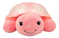 Cloud B -  Nachtlicht mit Sternenhimmel - Schildktöte in Pink - Neu & OVP