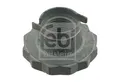 Mutter Achszapfen FEBI BILSTEIN 30028 für VW SEAT SKODA POLO AUDI FABIA FOX ST 5
