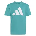 adidas Unisex Kinder Essentials Big Logo T-Shirt, Pure Teal/White, 3-4 Years