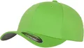 Flexfit Snapback Cap