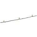 Konstsmide Lichterkette, 41,84 m mit 200 LED, bernsteinfarben - schwarz