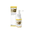 ManukaSan Spray 50ml Pflegendes Honigspray für Tiere