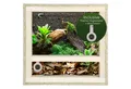 Repiterra Terrarium Holzterrarium mit Glasfront mit Seitenbelüftung 40x40x40 cm hochwertig, inklusive Thermo-Hygrometer - sehr gute Wärmeisolierung