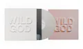 NICK CAVE & THE BAD SEEDS Wild God - LP / Clear Vinyl + Art Print (2024)