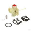 Briggs & Stratton Vergaser 795475
