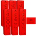 Schwarzkopf Igora Royal 6 x 60 ml 9-0 lichtblond Haarfarbe Cremefarbe Set