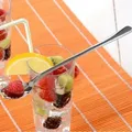"GRÄWE Limonadenlöffel \"Würzburg\" 6 Stück Edelstahl rostfrei"