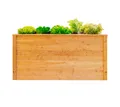 Hochbeet Gemüsebeet Lärchenholz Blumenbeet Pflanzbeet Kräuterbeet Westmann
