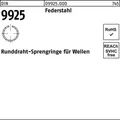 Sprengring DIN 9925 48 Federstahl Runddraht