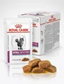 12x85g Royal Canin Veterinary Diet Renal Fish– Diät-Nassfutter für Katzen