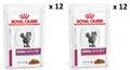 ROYAL CANIN Renal Feline Fish 12 x 85 g + Beef 12 x 85 g MIX