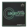 Cleartone Acoustic .010-.047 Light 12 Saiten
