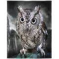 Bedruckte Kuscheldecke Graue Eule Decke Weich Flanell Fleecedecke 150x200 cm