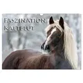 Faszination Kaltblut (Wandkalender 2025 DIN A3 quer) CALVENDO Monatskalender von Ramona Dünisch - www.Ramona-Duenisch.de/ Calvendo / Calvendo / Kalend