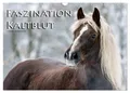 Faszination Kaltblut (Wandkalender 2025 DIN A3 quer), CALVENDO Monatskalender De