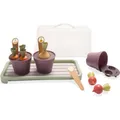 dantoy Mini Greenhouse Set (4725)
