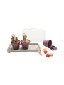 Dantoy Green Garden - Mini Greenhouse Set (4725)