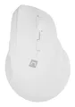 Natec Optische Maus, 2400 dpi, Universal, PE21415290, Weiß