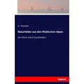 Naturbilder aus den Rhätischen Alpen von G. Theobald / hansebooks / Taschenbuch
