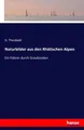 Naturbilder aus den Rhätischen Alpen G. Theobald