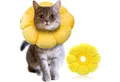 IOSPKKIO Schutzkragen Halskrause Katze, Einstellbares Sonnenblume Halsband für Katzen