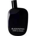 COMME DES GARÇONS Blackpepper Eau de Parfum 50ml : 50ml Größe: 50ml