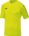 Trikot Team KA JAKO