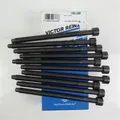 Zylinderkopfschraubensatz REINZ für Audi VW 2,0l 16V TDI PD BKD AZV BMN BKP BRD