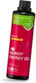 Squeezy Energy Gel - Refiller, 500 ml Flasche, Basic Formula