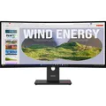 Lenovo ThinkVision T34WD-40 (3440 x 1440 Pixel, 34") (64AEZAT1EU)