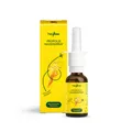 heybee Propolis Nasenspray